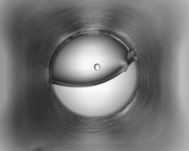 X0000094791457200711301556