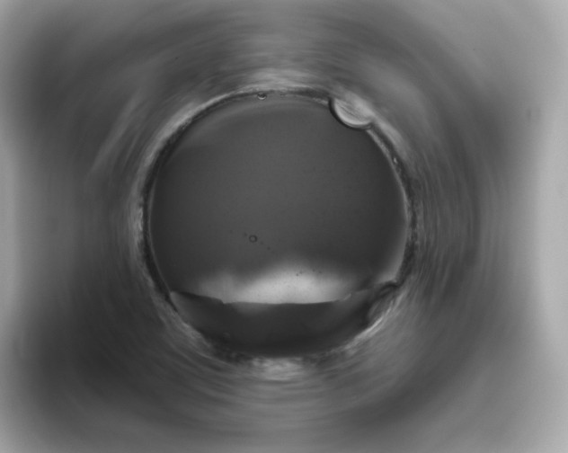 X0000094791459200711301556