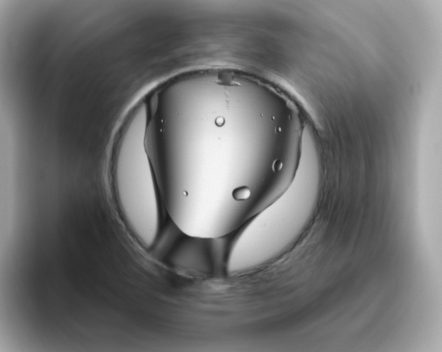 X0000094791460200711301556