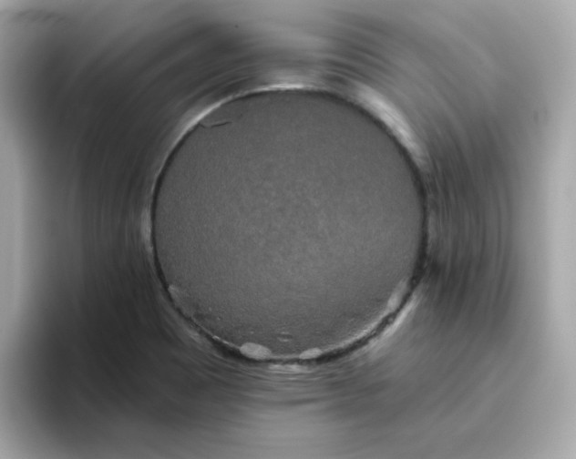 X0000094791465200711301556