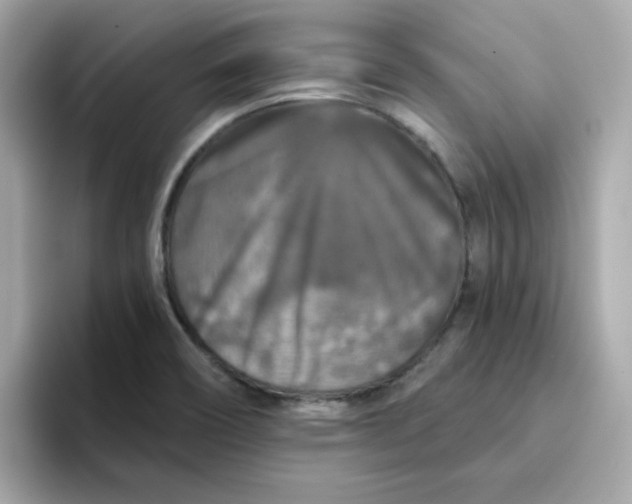 X0000094791466200711301556