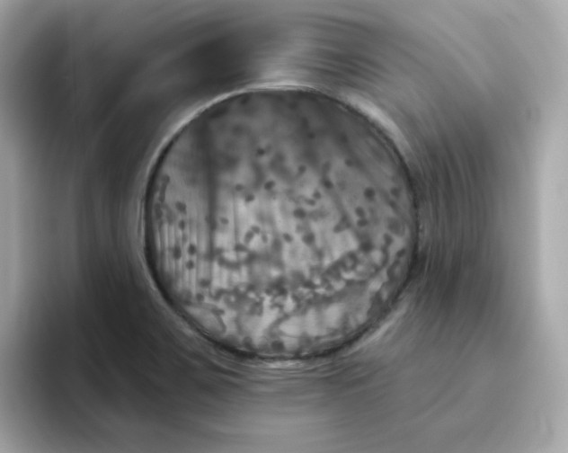 X0000094791467200711301556