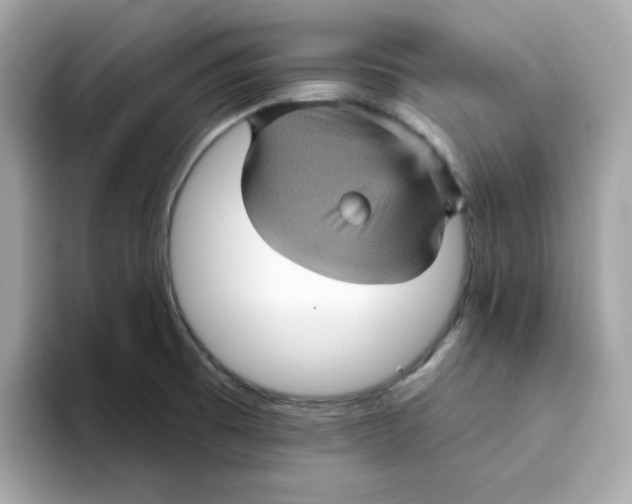 X0000094791473200711301556