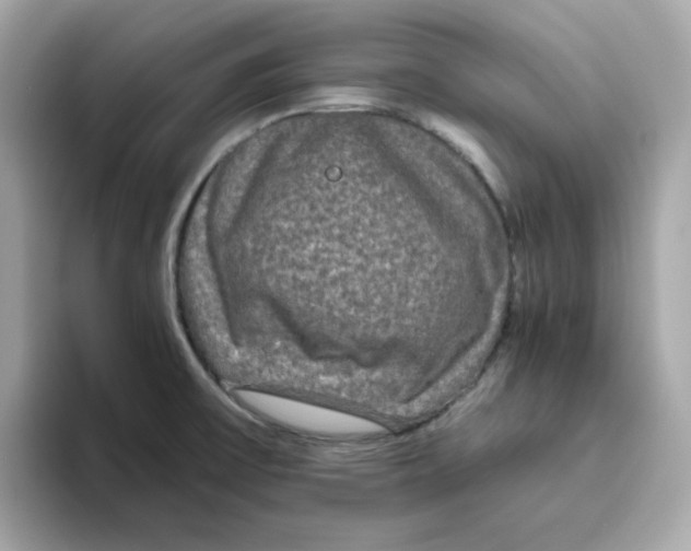 X0000094791475200711301556