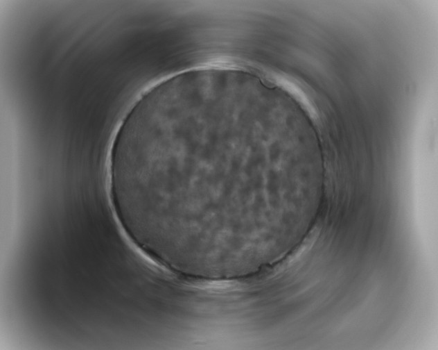 X0000094791479200711301556