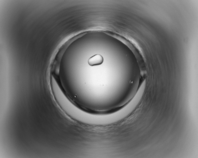 X0000094791480200711301556