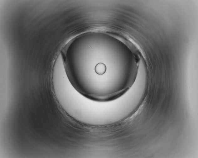 X0000094791481200711301556