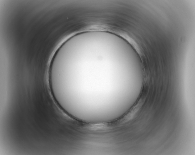 X0000094791486200711301556