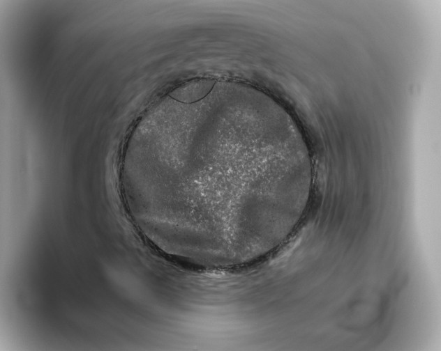 X0000094791489200711301555