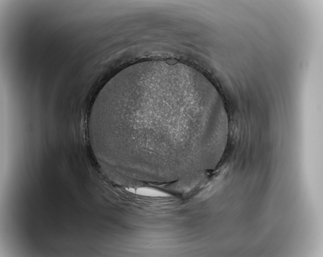 X0000094791490200711301555