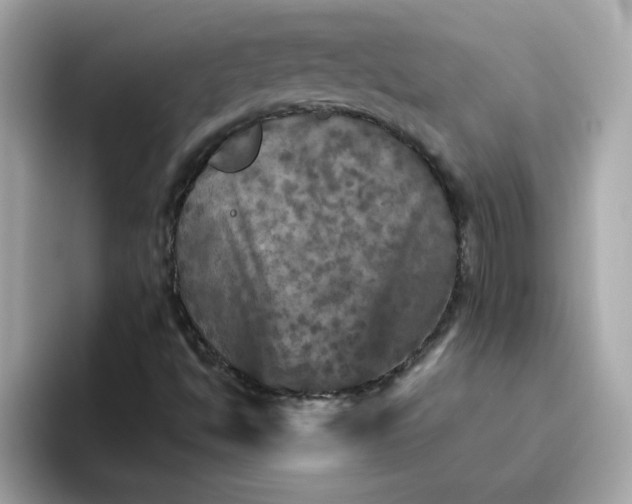 X0000094791494200711301555