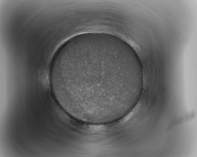 X0000094791498200711301556