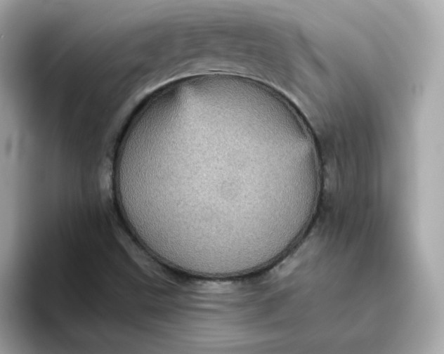 X0000094791499200711301556