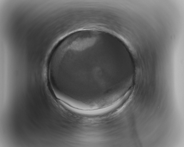 X0000094791506200711301556