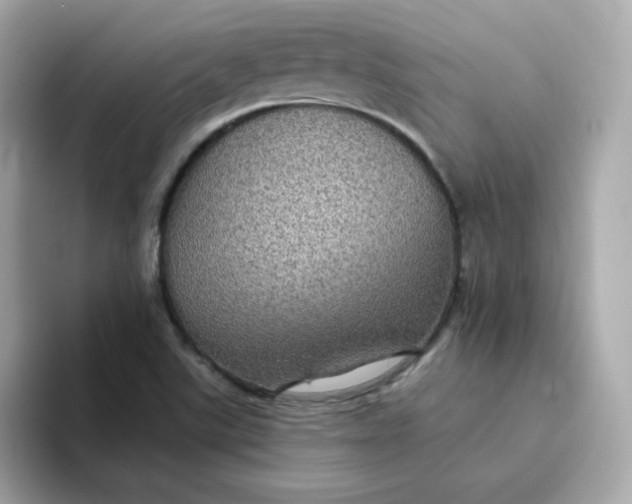 X0000094791507200711301556