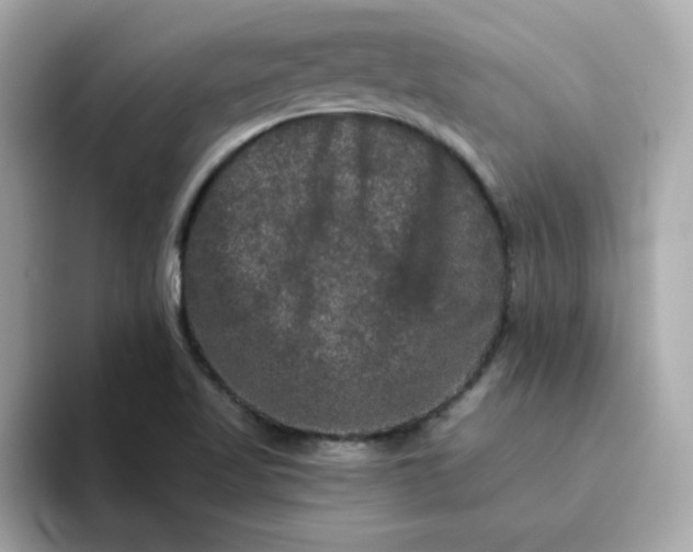 X0000094791509200711301556