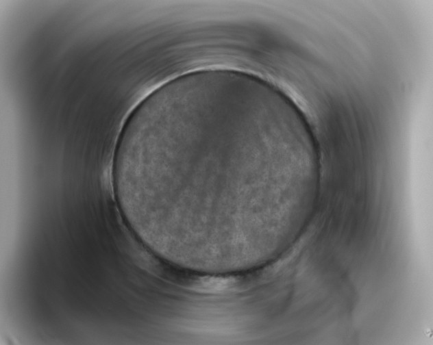 X0000094791513200711301556