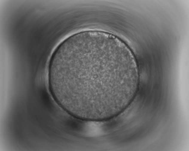 X0000094791514200711301556