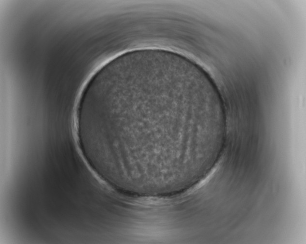 X0000094791517200711301556