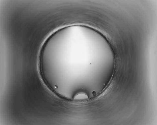 X0000094791518200711301556