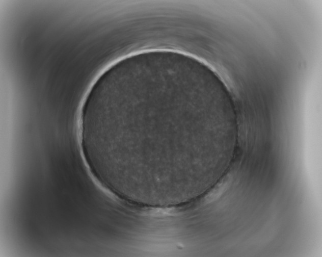 X0000094791519200711301556