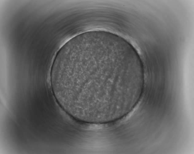 X0000094791521200711301556