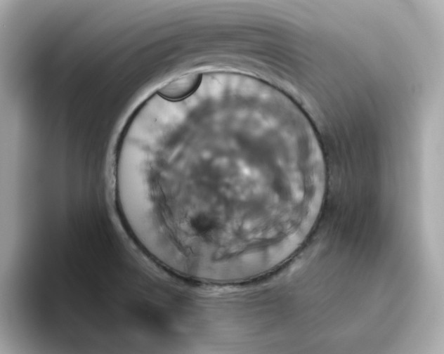 X0000094791522200711301556