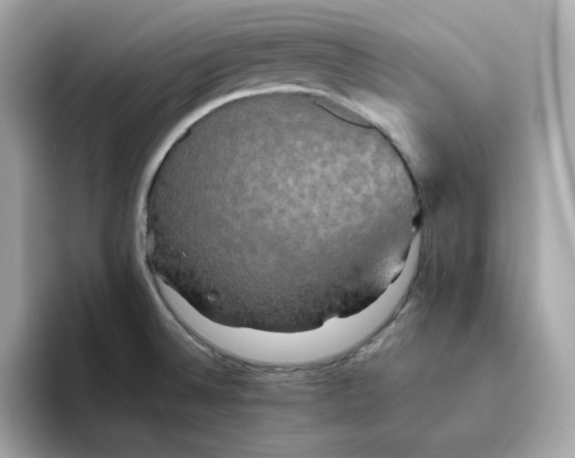 X0000094791524200711301556