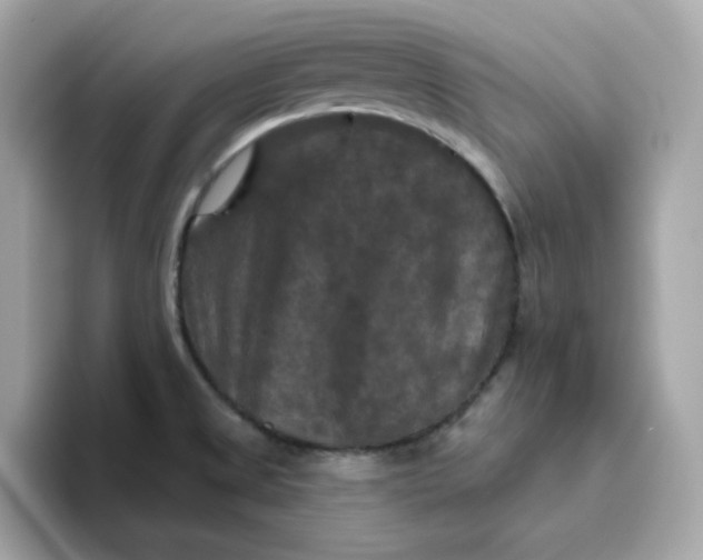 X0000094791525200711301556