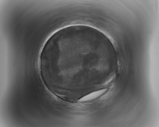 X0000094791527200711301556