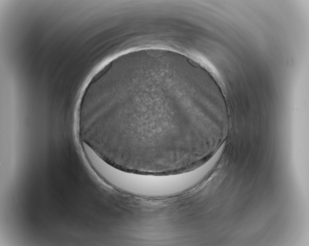 X0000094791528200711301556