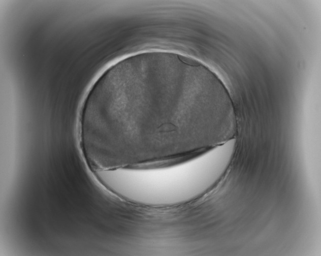 X0000094791531200711301556