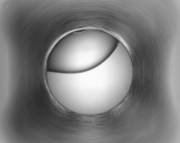 X0000094791532200711301556