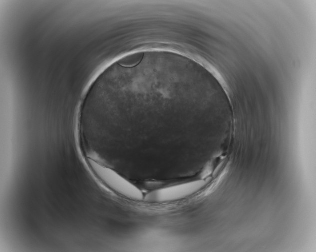 X0000094791533200711301556