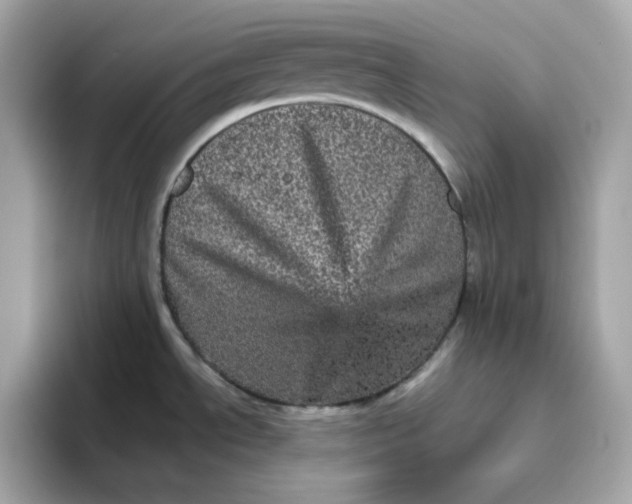 X0000094791534200711301556