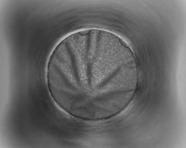 X0000094791535200711301556