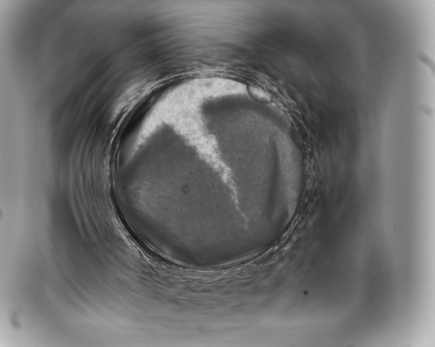 X0000094790002200712071239