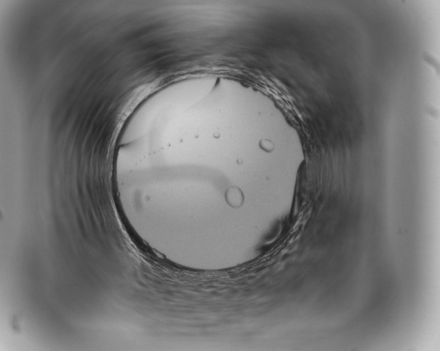 X0000094790003200712071239