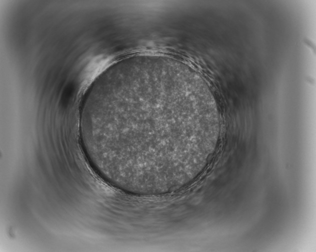 X0000094790005200712071239