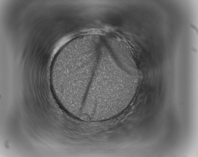 X0000094790006200712071239