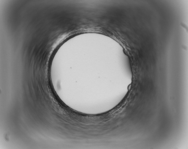 X0000094790008200712071239