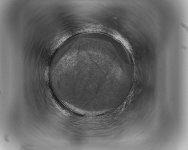 X0000094790009200712071239