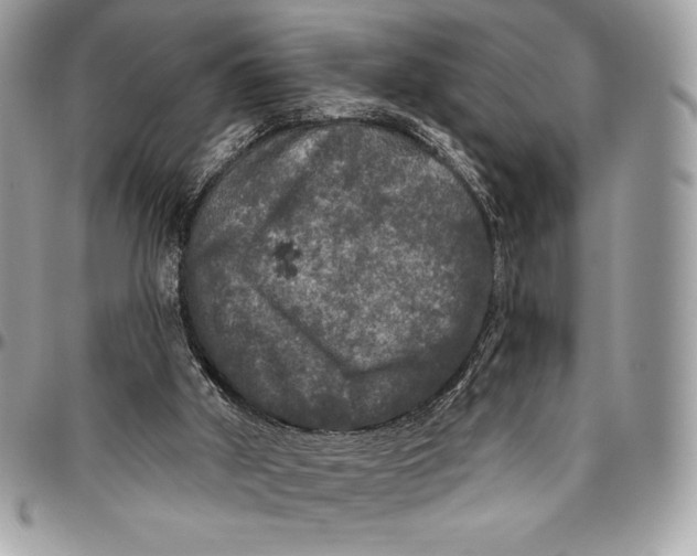 X0000094790010200712071239