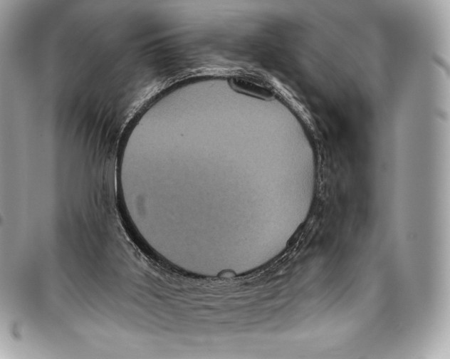 X0000094790011200712071239