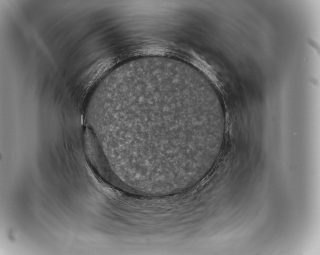 X0000094790013200712071239