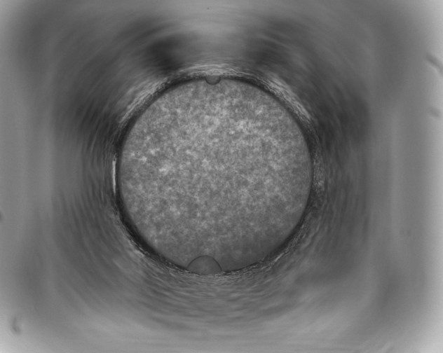 X0000094790014200712071239