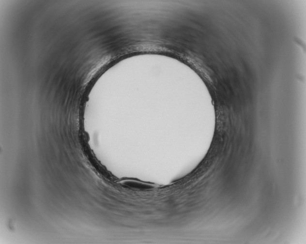 X0000094790015200712071239