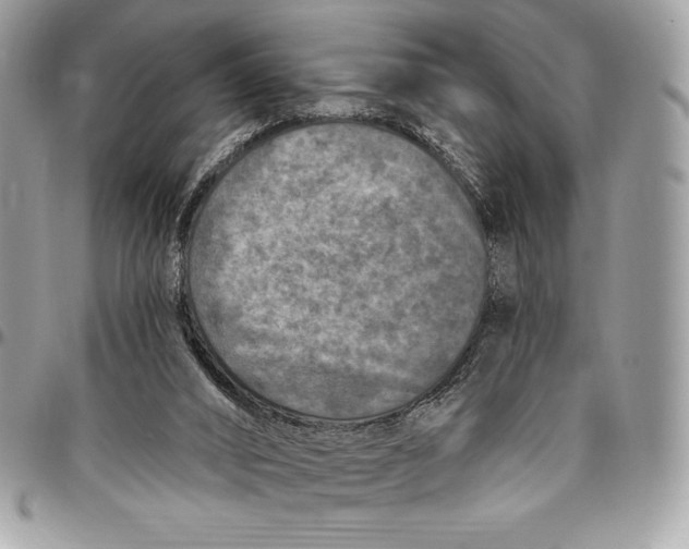 X0000094790016200712071239