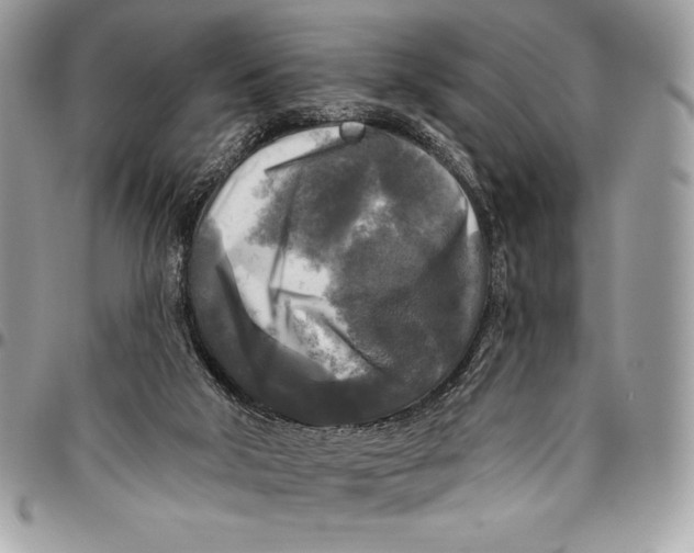 X0000094790018200712071239