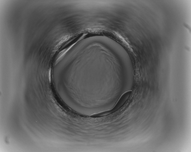 X0000094790019200712071239